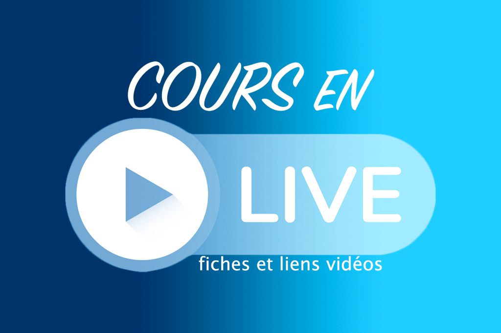 You are currently viewing COURS EN LIGNE OU EN DIRECT-VIDEO