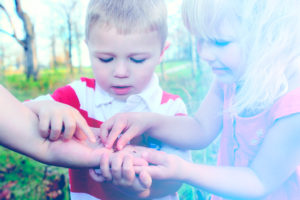 LES ACTIVITES FAMILIALES DE CET ETE