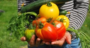 INAUGURATION DU JARDIN PÉDAGOGIQUE PARTAGÉ