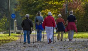 ACTIVITÉS EN PLEIN AIR DE JUILLET