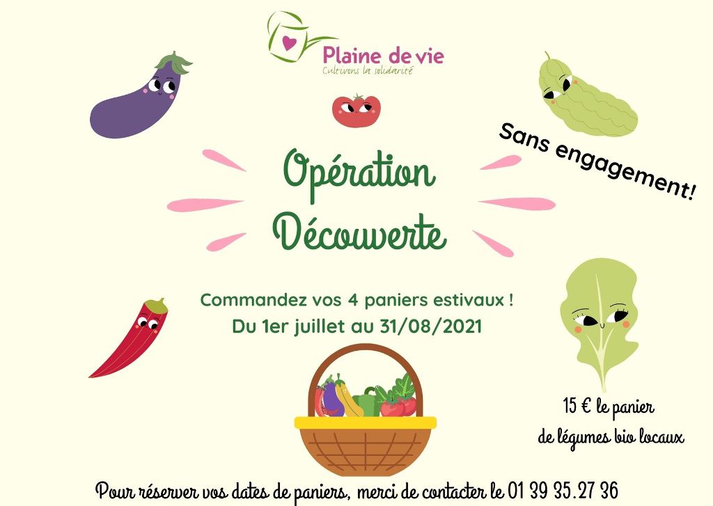 You are currently viewing VOTRE PANIER DE LÉGUMES BIO